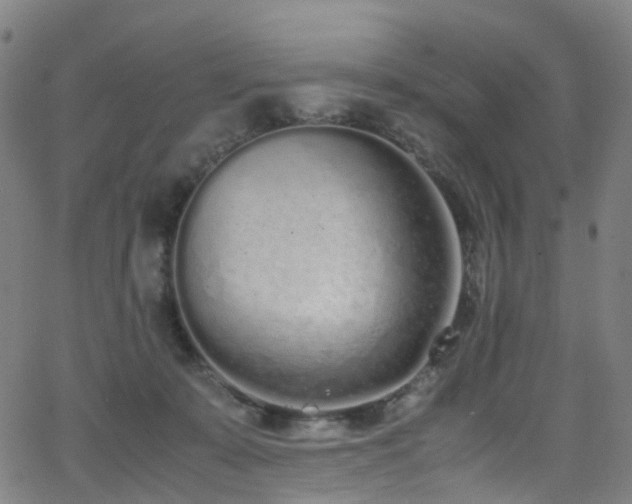 X0000062930319200601131518