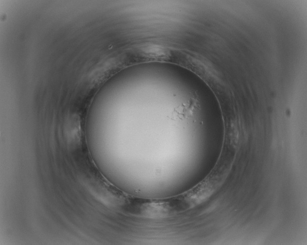 X0000062930320200601131518