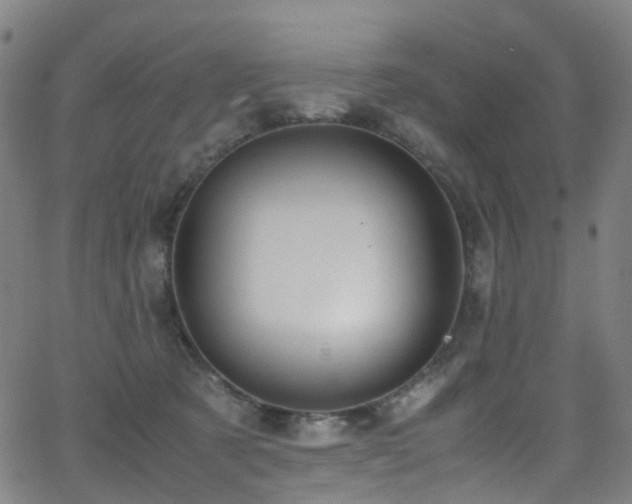 X0000062930321200601131518