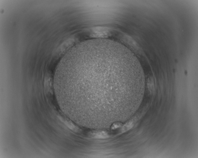 X0000062930322200601131518