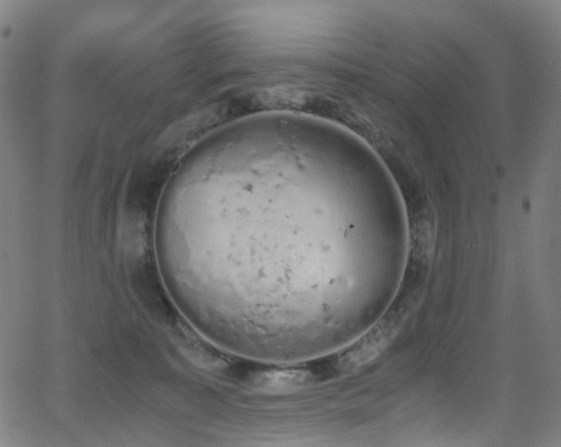 X0000062930323200601131518