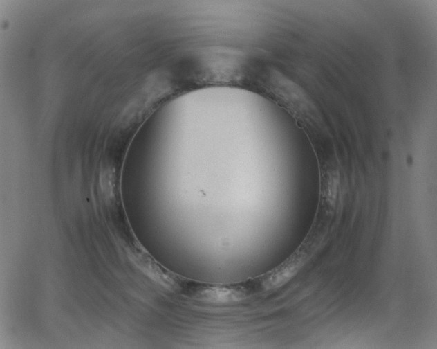 X0000062930326200601131518