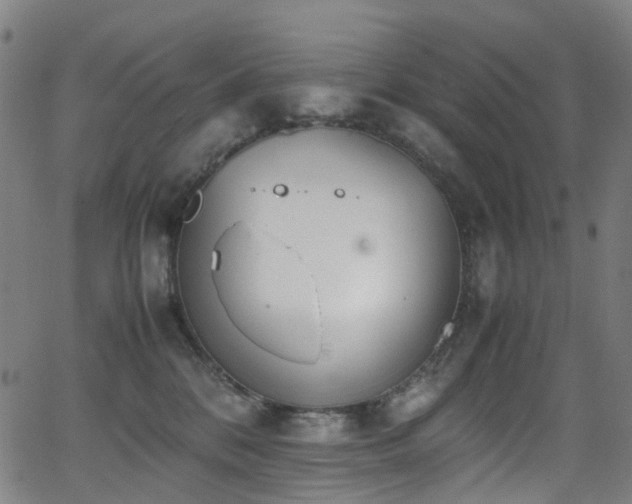 X0000062930328200601131518