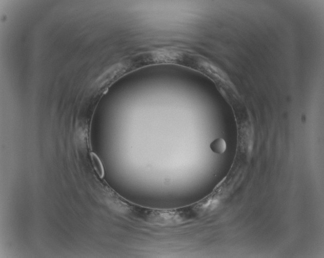 X0000062930329200601131518