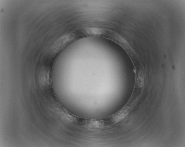 X0000062930330200601131518