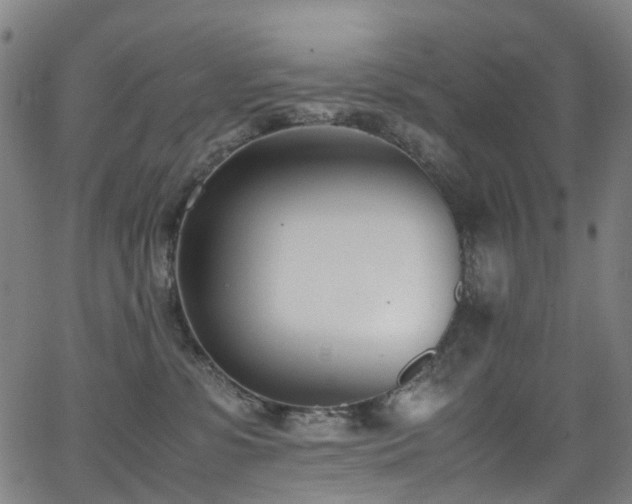 X0000062930331200601131518