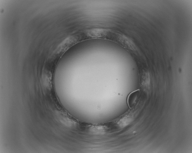 X0000062930332200601131518