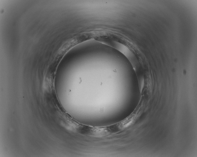 X0000062930333200601131518