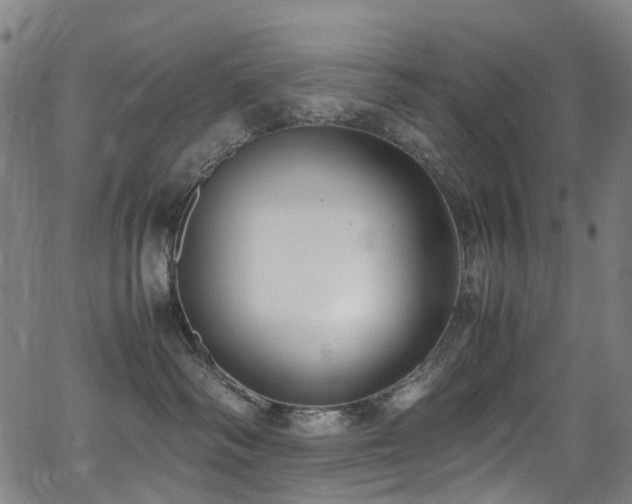 X0000062930334200601131518