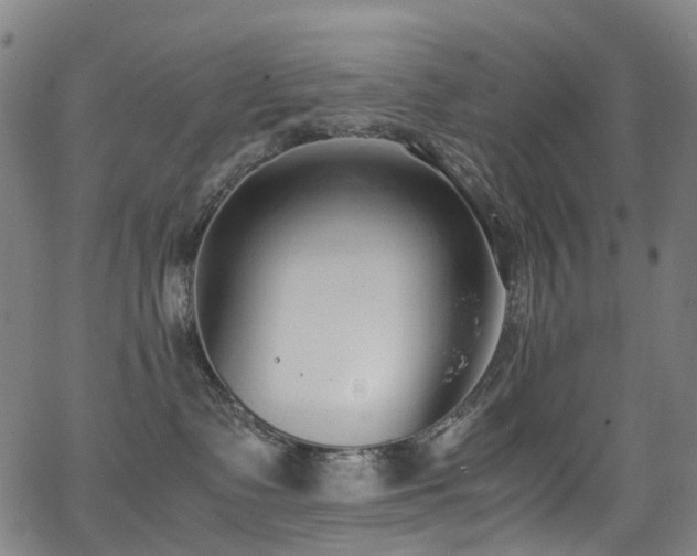 X0000062930335200601131518