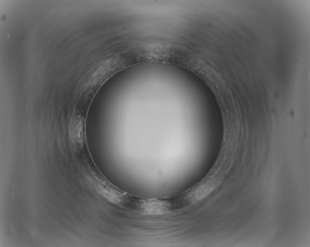 X0000062930336200601131518