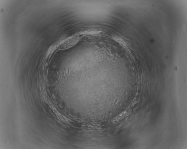 X0000062930337200601131517