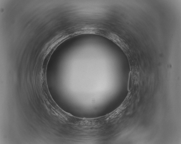 X0000062930338200601131517