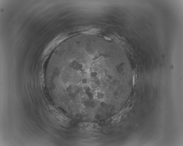 X0000062930339200601131517