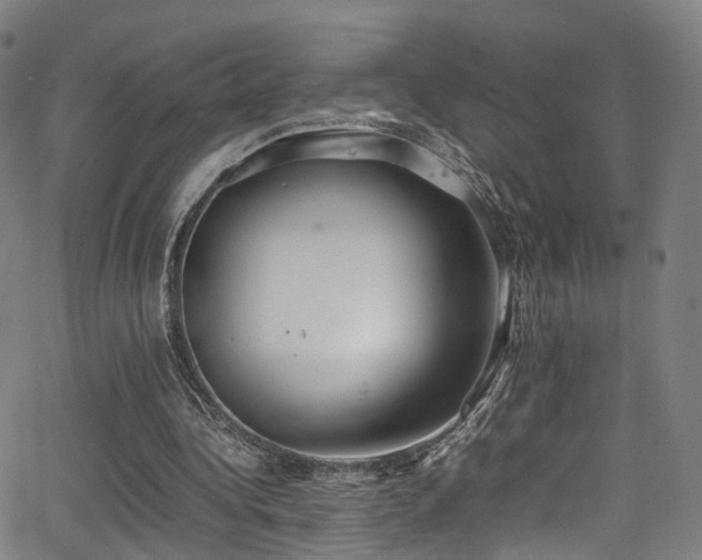 X0000062930340200601131517