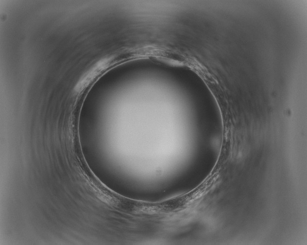 X0000062930341200601131517