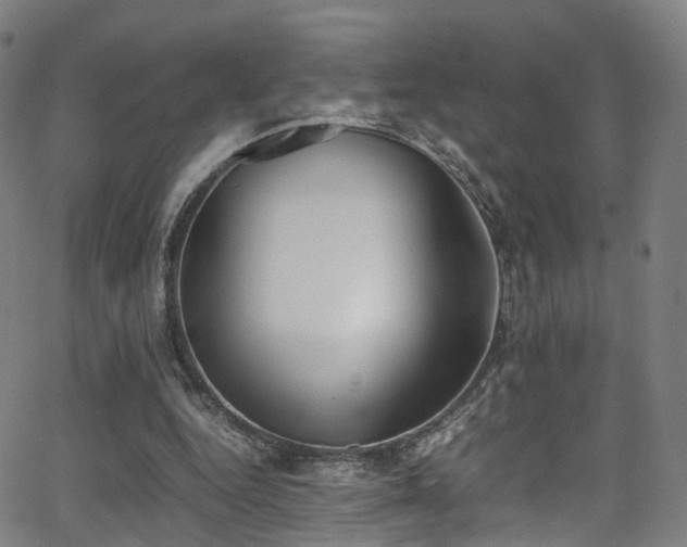 X0000062930344200601131517