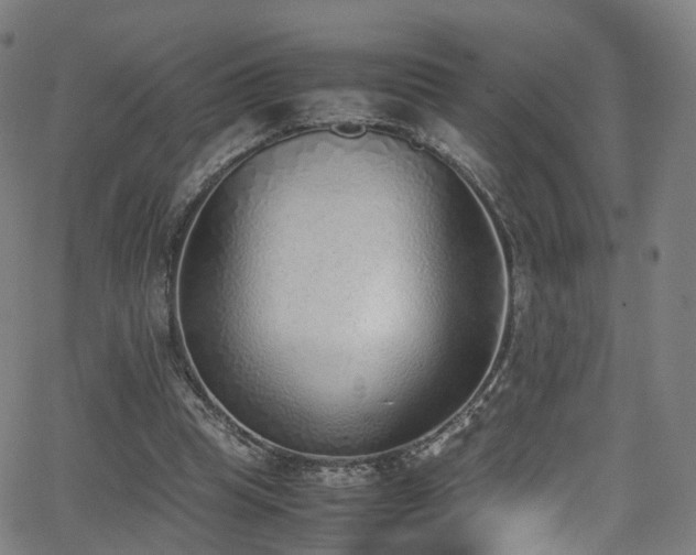 X0000062930345200601131517