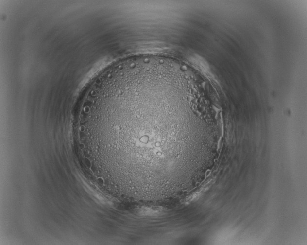 X0000062930346200601131517