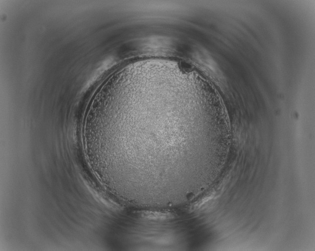 X0000062930347200601131517