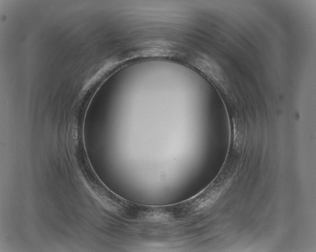 X0000062930348200601131517