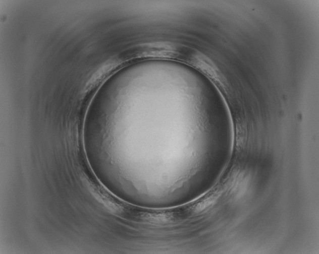 X0000062930349200601131517