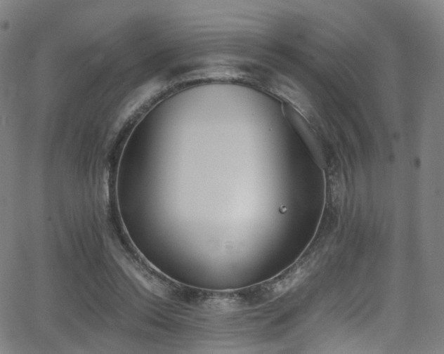 X0000062930350200601131517