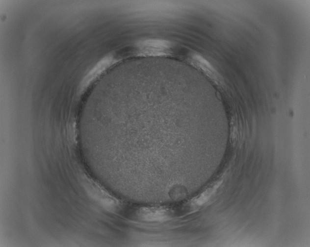 X0000062930351200601131517