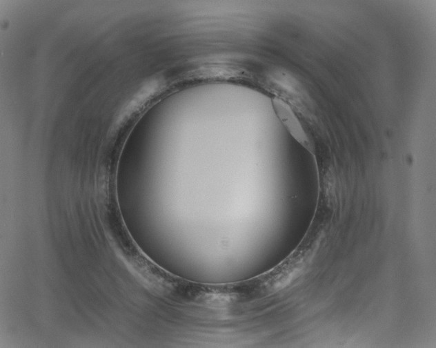 X0000062930352200601131517