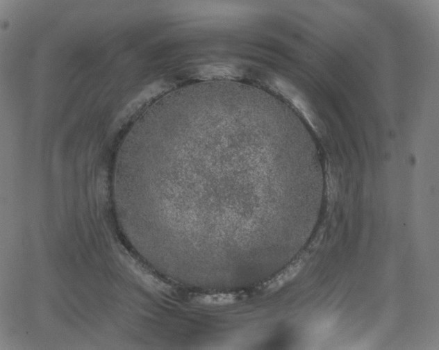 X0000062930353200601131517