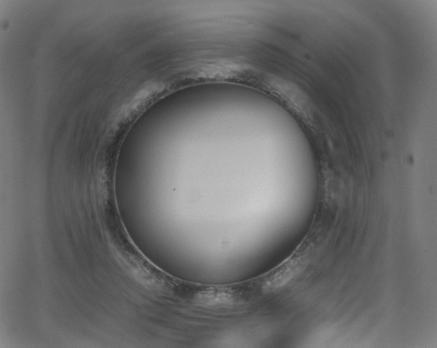 X0000062930354200601131517