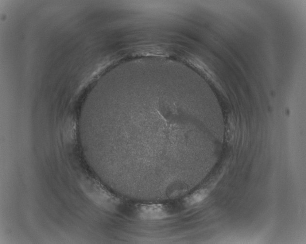 X0000062930355200601131517