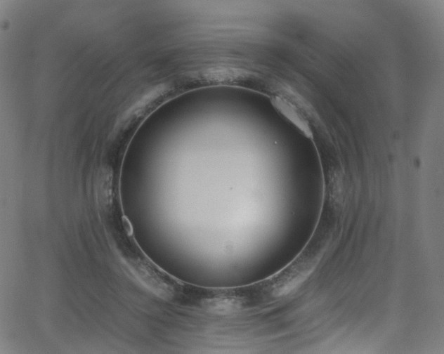 X0000062930356200601131517