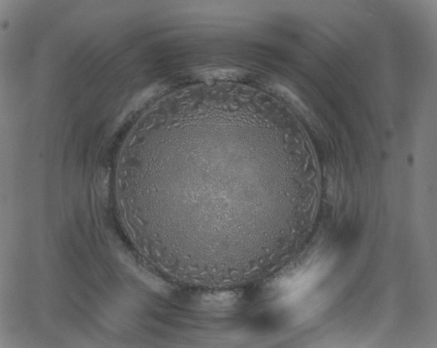 X0000062930357200601131517