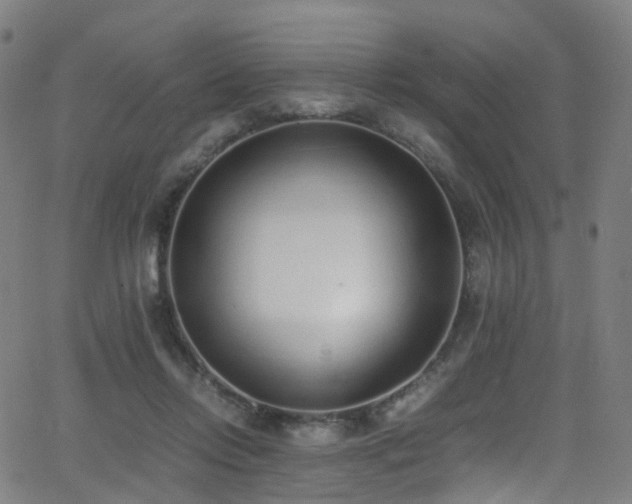 X0000062930358200601131517