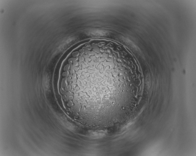 X0000062930359200601131517