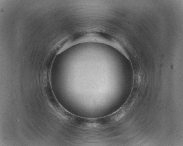 X0000062930360200601131517