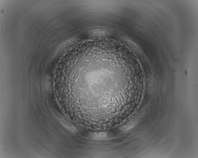 X0000062930361200601131517