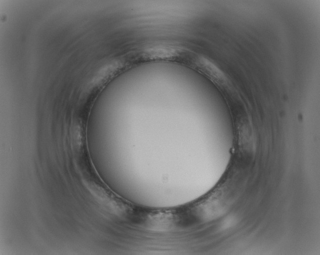 X0000062930362200601131517