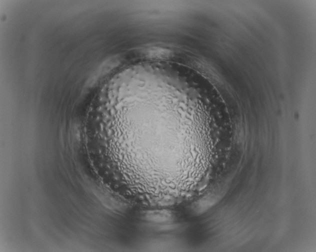 X0000062930363200601131517