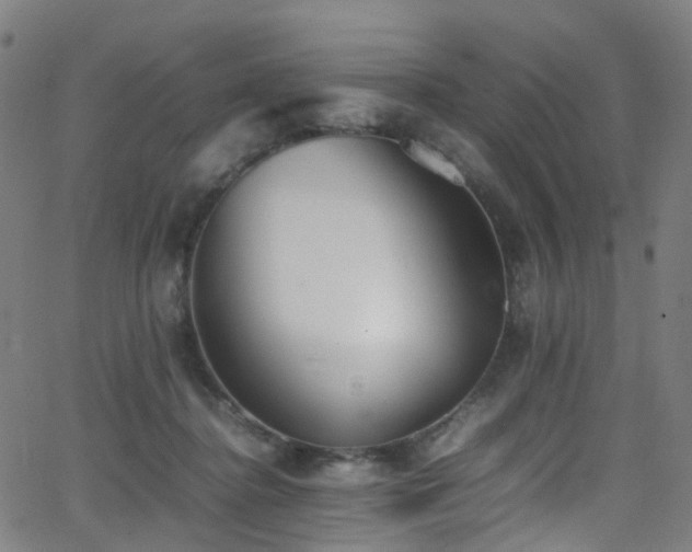 X0000062930364200601131517