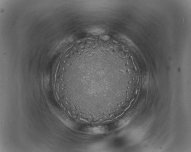 X0000062930365200601131517