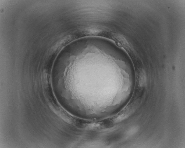 X0000062930366200601131517