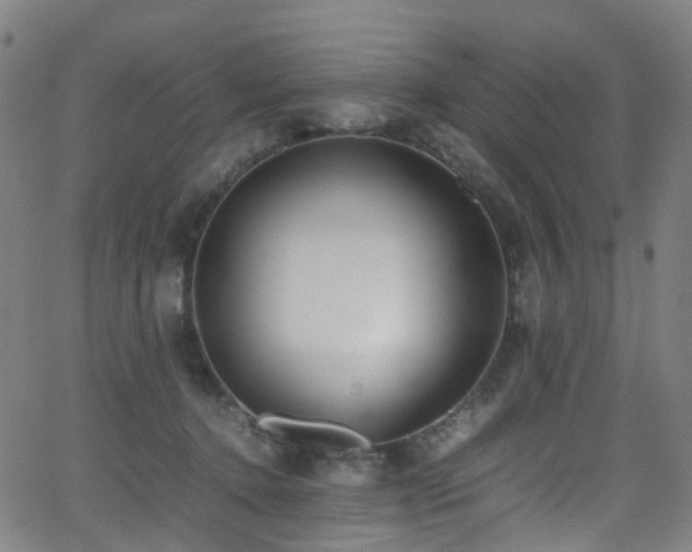 X0000062930368200601131517