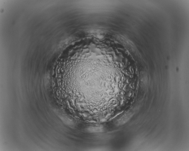 X0000062930369200601131517