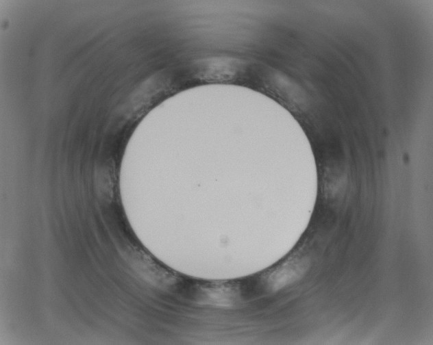 X0000062930370200601131517