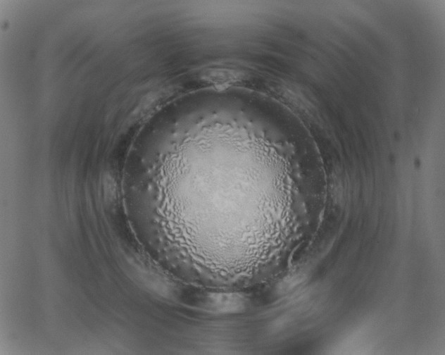 X0000062930371200601131517