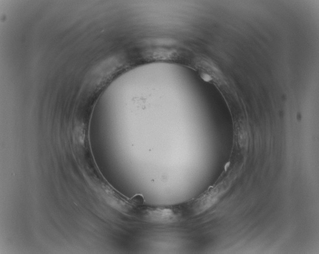 X0000062930374200601131517