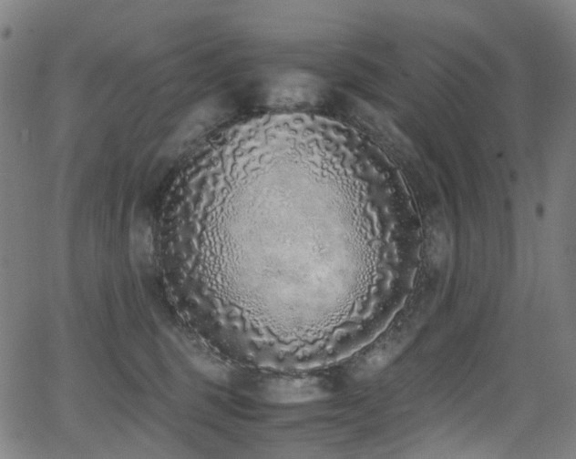 X0000062930375200601131517