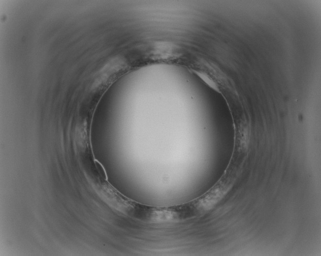 X0000062930376200601131517